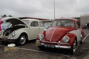 IMG_4286_new